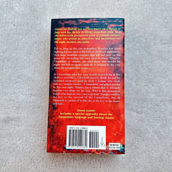 Dark Demon by Christine Feehan | Paperback Book - Picture 3 of 4